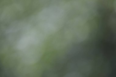 arka plan bulanık. arka plan.