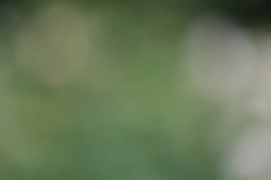 Renkli bokeh ışıkları ile bulanık arkaplan