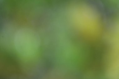 Bulanık arkaplan, renk dokusu