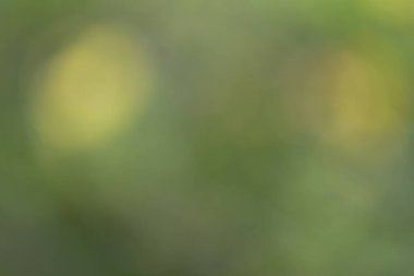 Renkli bokeh ile bulanık arkaplan.