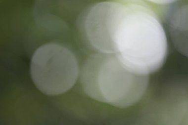 soyut bulanık doğa arkaplanı