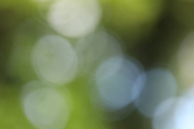 Arka plan bulanık. bokeh arkaplanı.