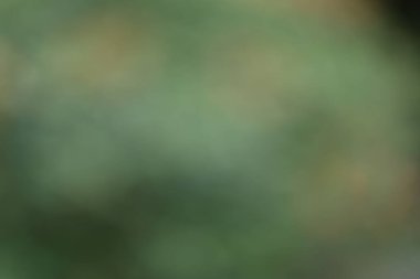 soyut renkli arkaplan, yaratıcı konsept tasarımı