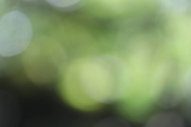 Yeşil bokeh arka planı. Odaklanmış bulanık ışıklar. soyut arkaplan.