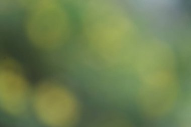 Yeşil bokeh ile bulanık arkaplan.