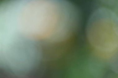 Grafik kaynaklarında kullanmak için soyut bokeh arkaplanı