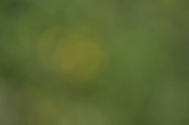 Bulanık soyut arkaplan, yaratıcı çizim dokusu