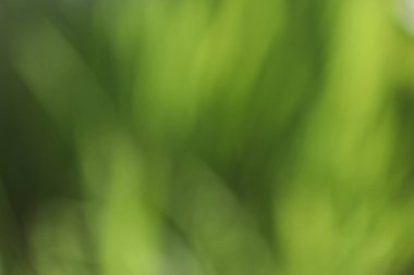 Yeşil arka plan, yeşil arka plan