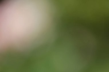 soyut bulanık arkaplan, odaklanmış ışıklar,