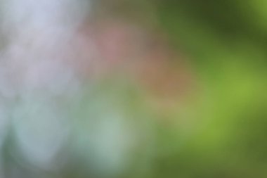 Bokeh efektli bulanık arkaplan
