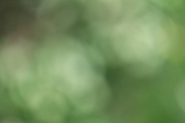 sönmüş bulanık yeşil doğa arkaplanı