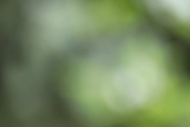 Doğal bokeh ile soyut bulanık arkaplan