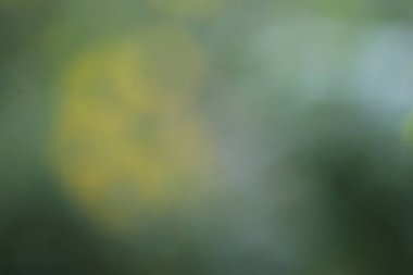 Sarı ve siyah renkli soyut yeşil arkaplan