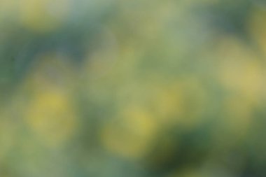Sarı ve yeşil rengin bulanık arkaplanı