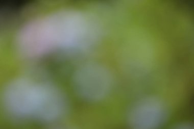 soyut arkaplan, yeşil doku