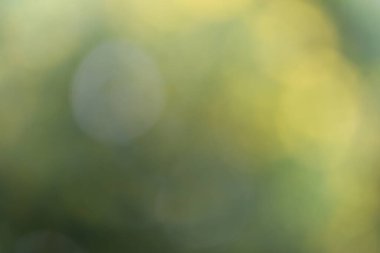 Bokeh ile soyut bulanık arkaplan