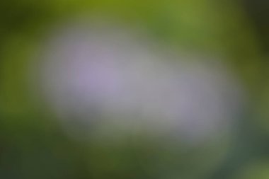 soyut renkli bulanık arkaplan, hareket görünümü