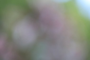 soyut renkli bulanık arkaplan, doku