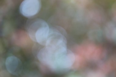 Bulanık arkaplan, soyut arkaplan