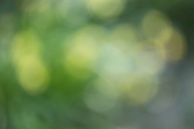 soyut bulanık yeşil arkaplan