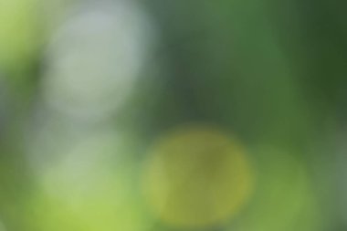 Bokeh ışıkları ile soyut arkaplan.