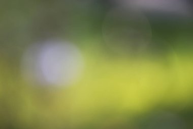 Yeşil bulanık soyut arkaplan.