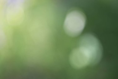 soyut bulanık yeşil arkaplan.