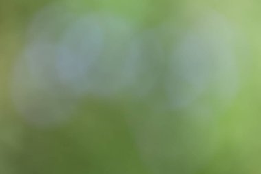 soyut renkli bulanık arkaplan