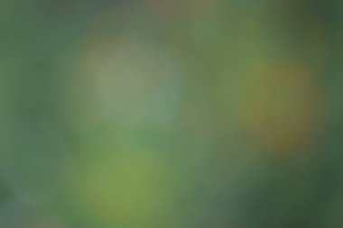 Soyut bulanık arkaplan. renkli arkaplan.