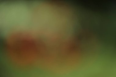 Açık kahverengi rengin bulanık arkaplanı.