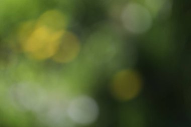 Bokeh ile soyut arkaplan