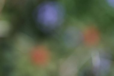 Bulanık arkaplan, bokeh arkaplan.