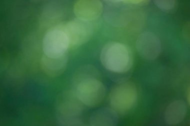 Doğa bokeh arka plan bulanık