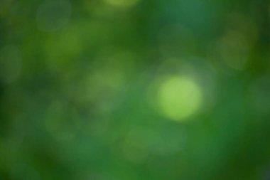 soyut yeşil arkaplan, yeşil dekeh arkaplan, bulanık arkaplan