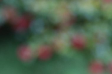 Bokeh ile soyut renkli arkaplan