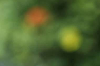 Yeşil ve kırmızı renklerle bulanık arkaplan