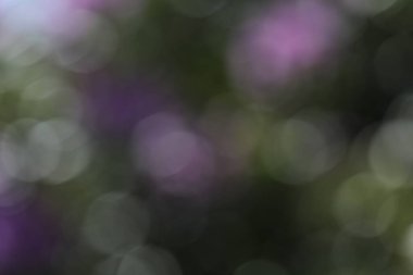 Güzel renkli bulanık arkaplan