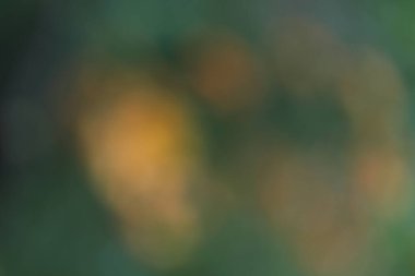 natural green blur abstract background.