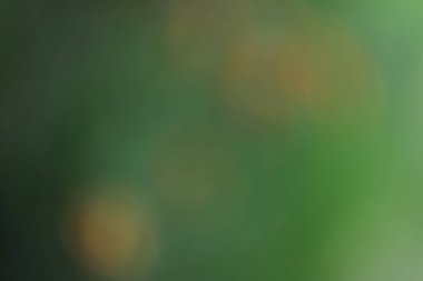 blurred background, green, yellow color gradient