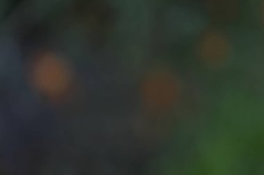 soyut bulanık arkaplan ve doğal renkler