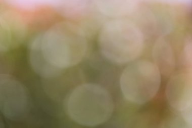 Odaklanamayan bulanık arkaplan.