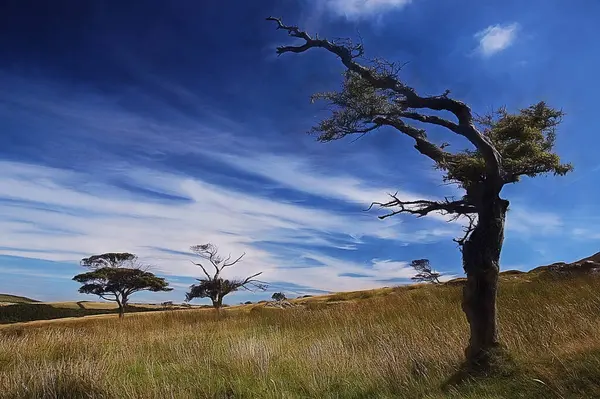 Ağacı ve dağı olan güzel bir manzara.