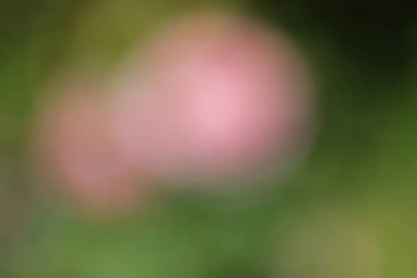 Renkli pankart için soyut bulanık gradyan arkaplan