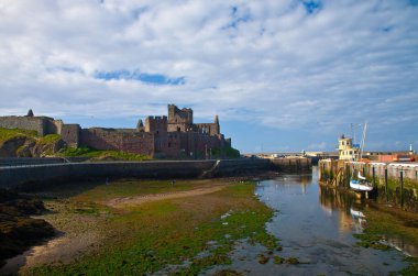  İnsan adasının batı kıyısında soyulmak