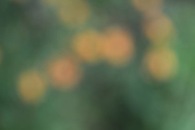 Renkli sonbahar ormanlarının soyut arka planı