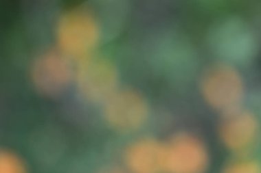 Sonbahar yapraklarının bulanık bokeh arkaplanı.