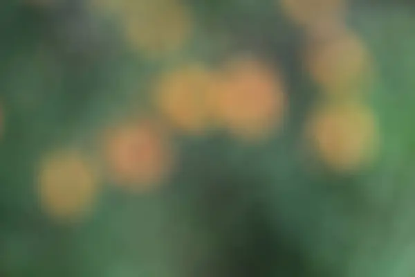 Renkli sonbahar ormanlarının soyut arka planı