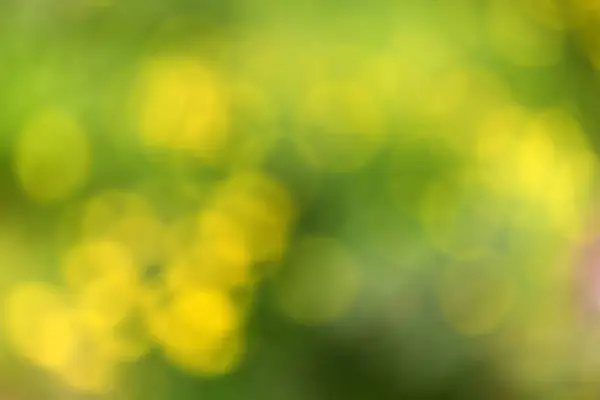 güzel bahar çiçek arka plan