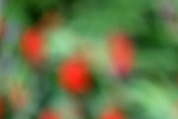 soyut kırmızı arkaplan, vektör illüstrasyonu