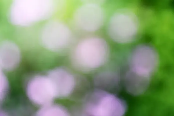 bahar arkaplanı. Soyut bulanık arkaplan. Bahar çiçekleri Doğa geçmişi. bahar çiçekleri